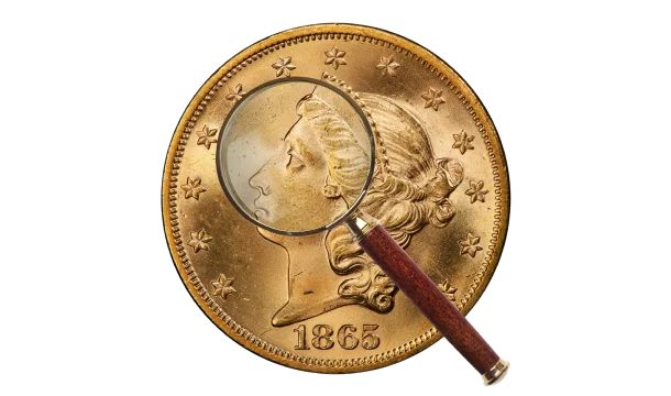 Golden Coin Appraisal Illustration