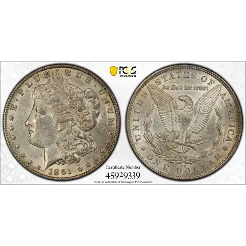 1891-CC $1 (3)