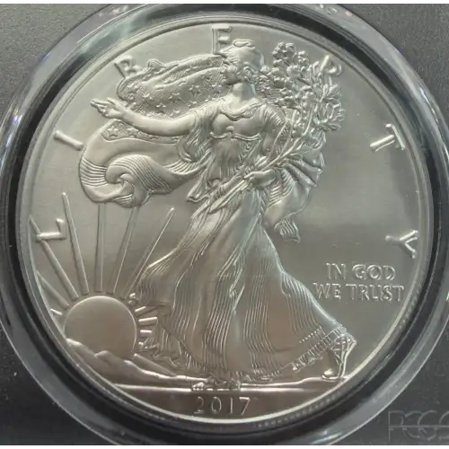 2017-W $1 Burnished Silver Eagle First Day of Issue First Day of Issue (2)