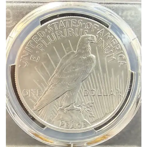 2021 $1 Peace Dollar 100th Anniversary First Strike (2)