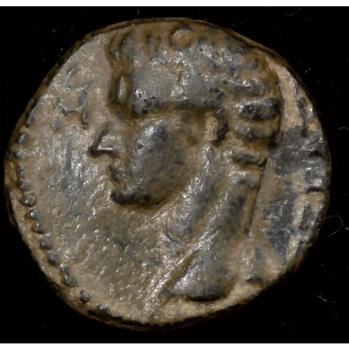 37-41 Cara, Cidrama, Caligula, AE Unit VF