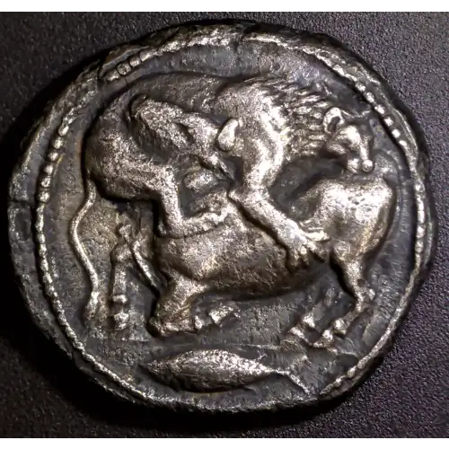 Akanthos, AR Tetradrachm