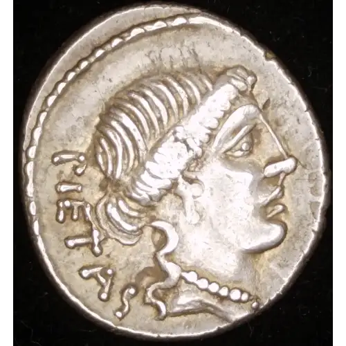 Albinus Bruti f, AR Denarius