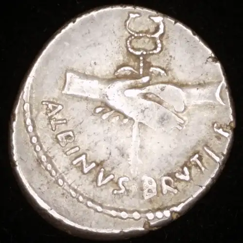 Albinus Bruti f, AR Denarius (2)
