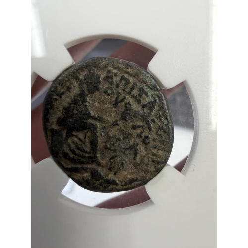 Antioch, Augustus, AE Trichalkon NGC Certified (2)
