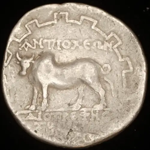 Antioch on the Meander, AR Tetradrachm