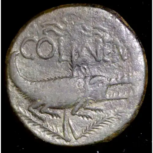 Augustus with Agrippa, Nemausus, AE Dupondius (2)