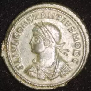 Constantius II (As Caesar), AE Follis
