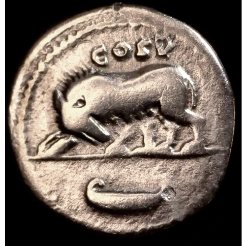 Domitian, AR Denarius (2)