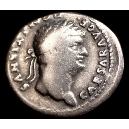 Domitian, AR Denarius