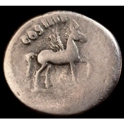 Domitian, AR Denarius