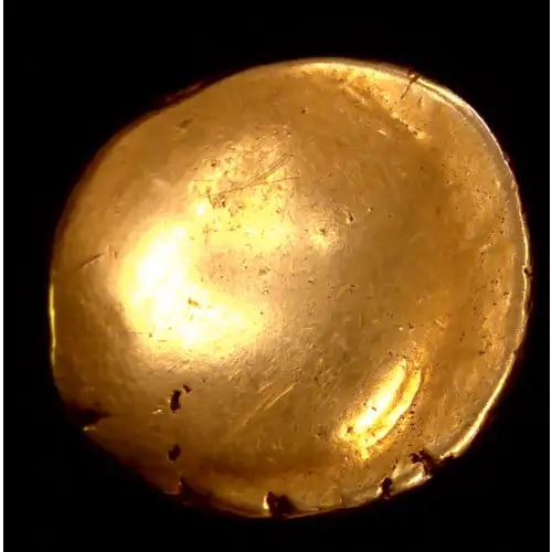 Gallic Ambiani, AV Stater (2)