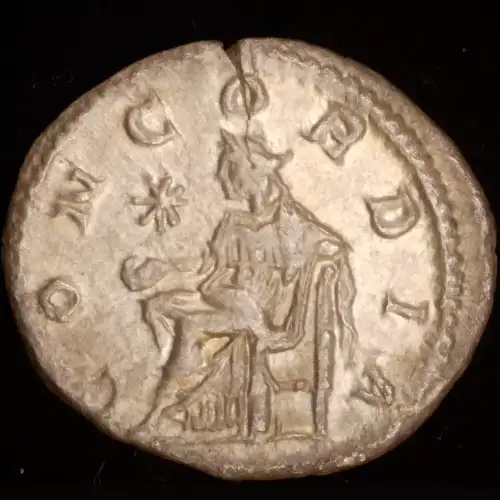Julia Paula, AR Denarius (2)