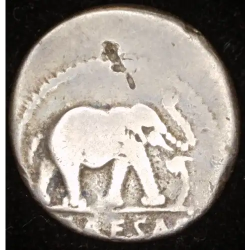 Julius Caesar, AR Denarius
