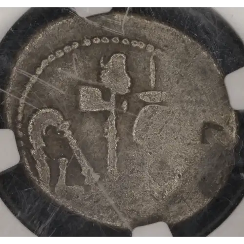 Julius Caesar, AR Denarius (2)