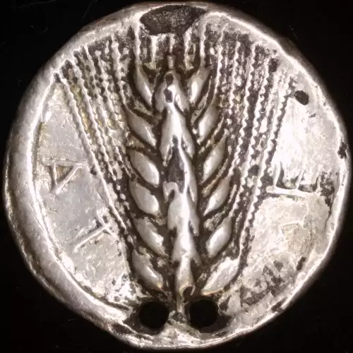 Lucania, Metapontion, Fourrée Nomos