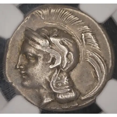 Lucania, Velia, AR Didrachm or Nomos