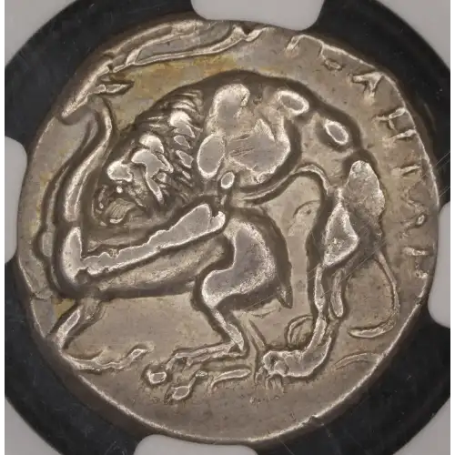 Lucania, Velia, AR Didrachm or Nomos