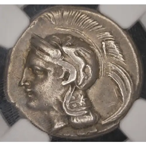 Lucania, Velia, AR Didrachm or Nomos