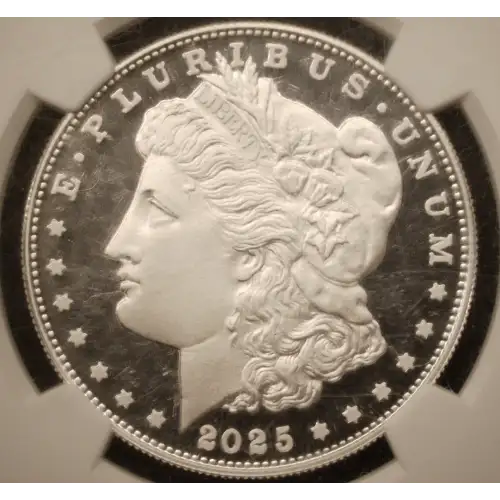 Modern Morgan Dollar (3)