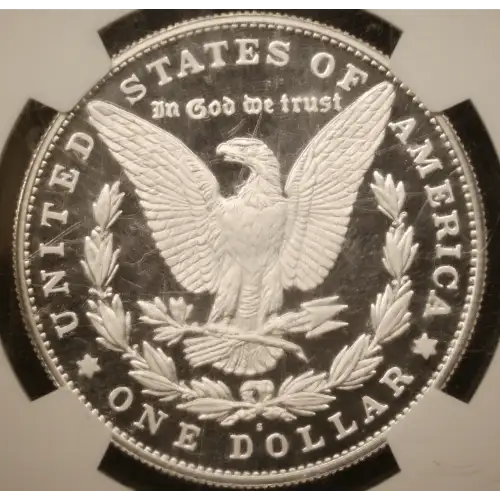 Modern Morgan Dollar (4)