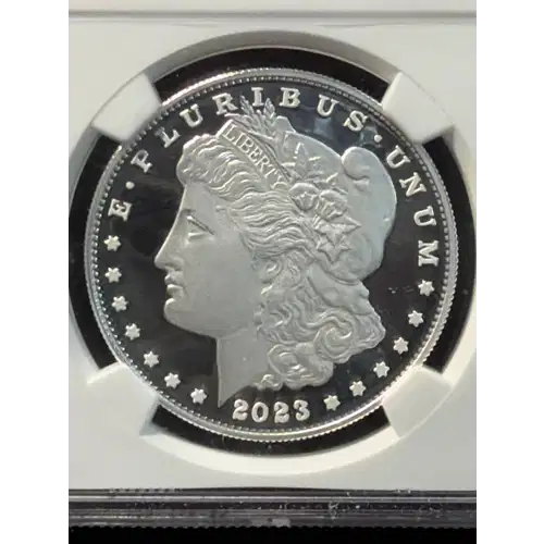 Modern Morgan Dollar (4)