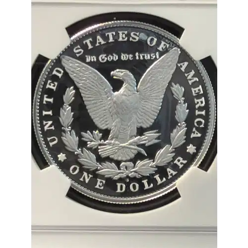 Modern Morgan Dollar (3)