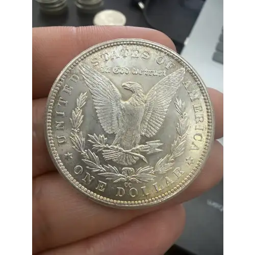 Morgan Silver Dollar