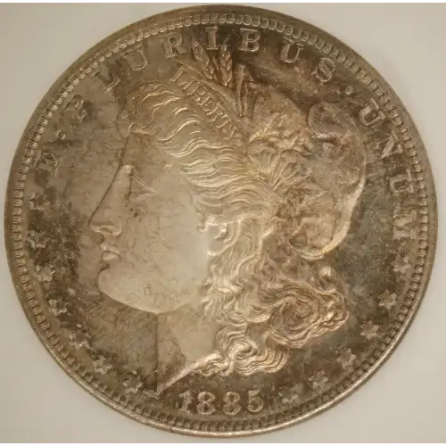 Morgan Silver Dollar (4)