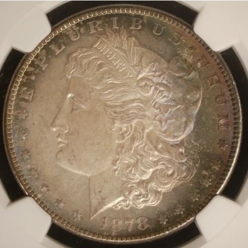 Morgan Silver Dollar (4)