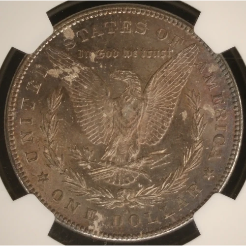 Morgan Silver Dollar (4)