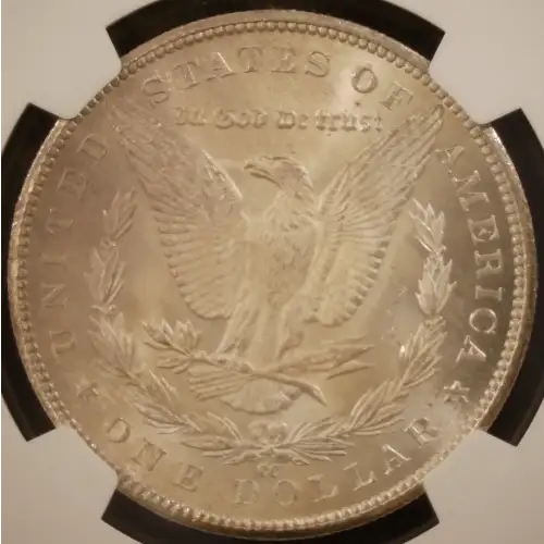 Morgan Silver Dollar (2)
