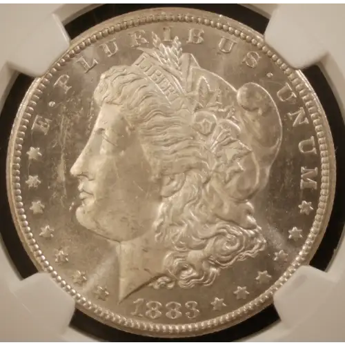 Morgan Silver Dollar