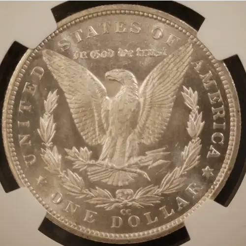 Morgan Silver Dollar (2)