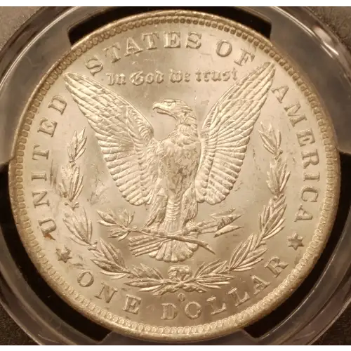 Morgan Silver Dollar (2)