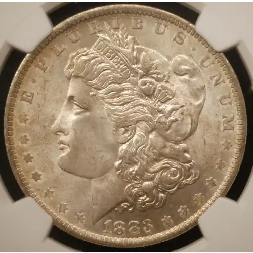Morgan Silver Dollar