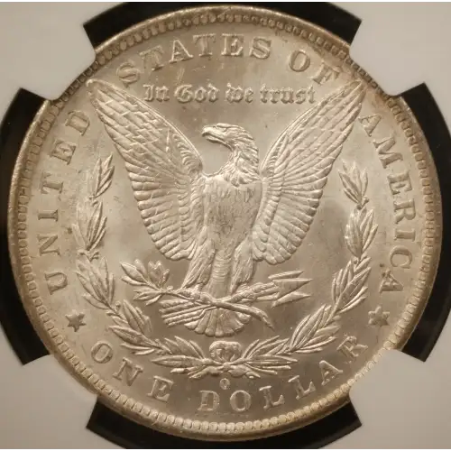 Morgan Silver Dollar (2)