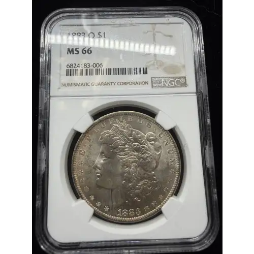 Morgan Silver Dollar (3)