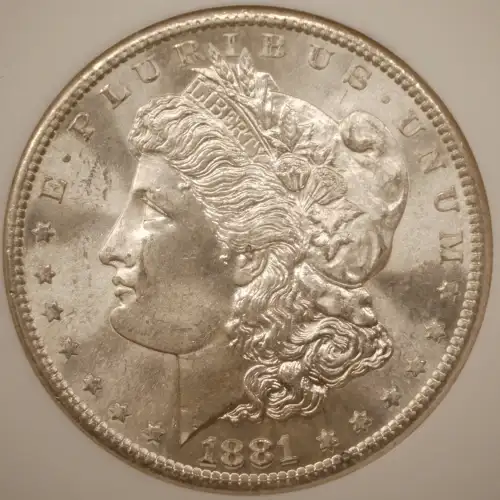 Morgan Silver Dollar (2)