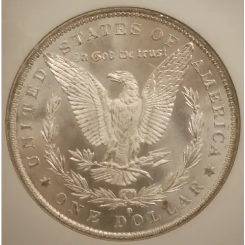 Morgan Silver Dollar (2)