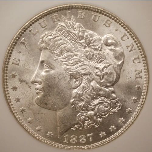 Morgan Silver Dollar (2)