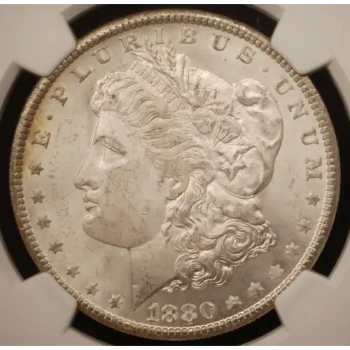 Morgan Silver Dollar (2)