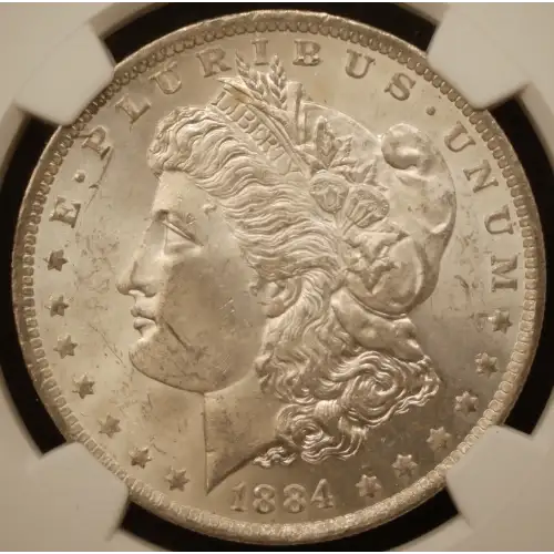 Morgan Silver Dollar (2)
