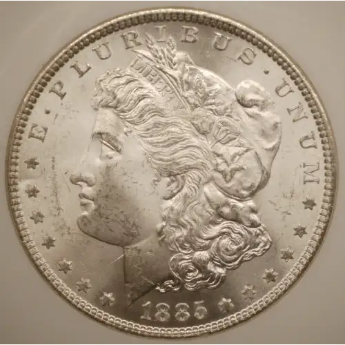Morgan Silver Dollar