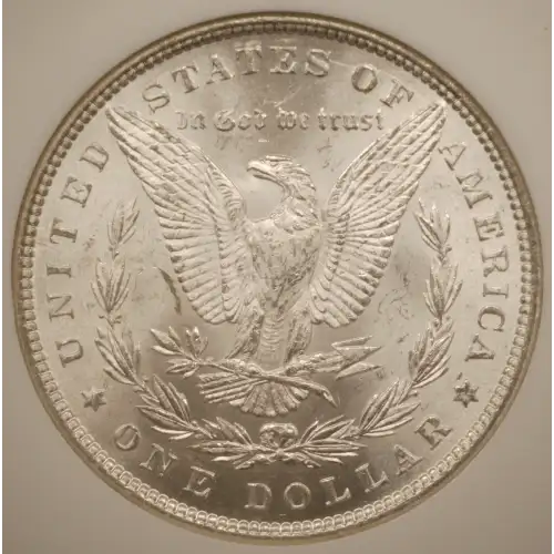 Morgan Silver Dollar (2)