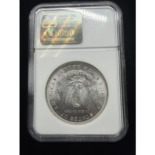 Morgan Silver Dollar (4)