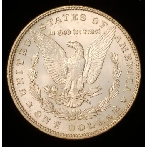 Morgan Silver Dollar (2)