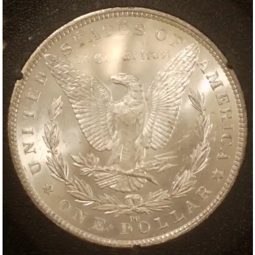 Morgan Silver Dollar (2)