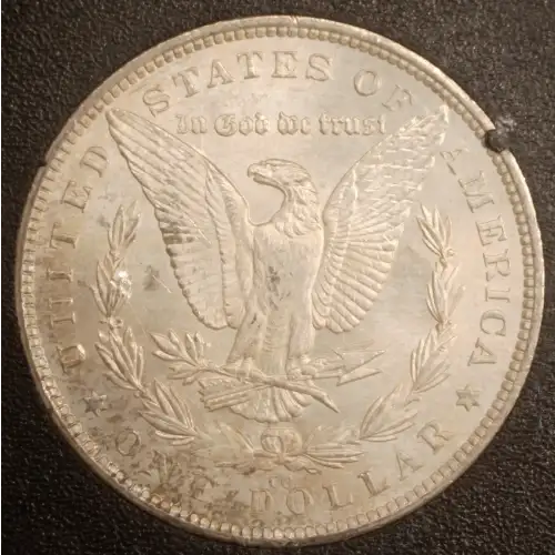 Morgan Silver Dollar (2)