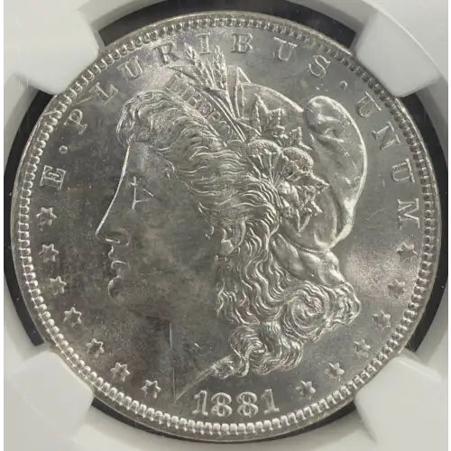 Morgan Silver Dollar